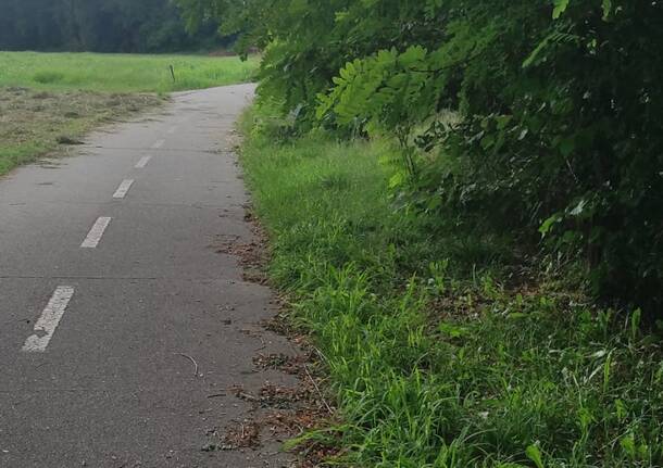Ciclopedonale del lago di Varese