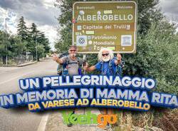 cosimo e stefano locorotondo