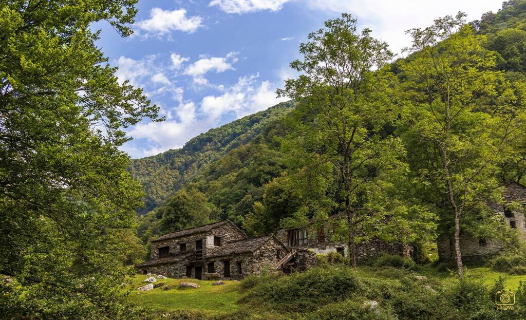 Mulini di Piero - Filippo Impieri