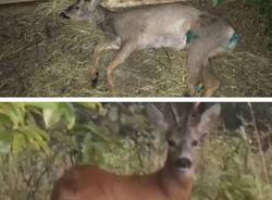 Generico 18 Sep 2023