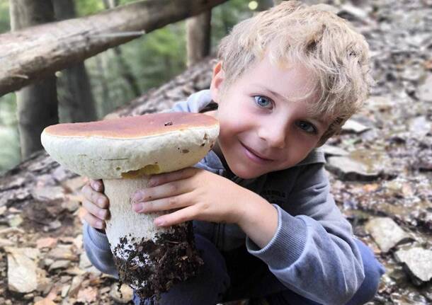 Generico 18 Sep 2023