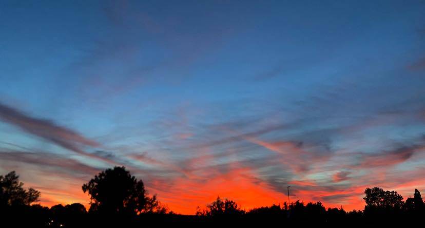 Il tramonto dei lettori - 3 settembre 2023
