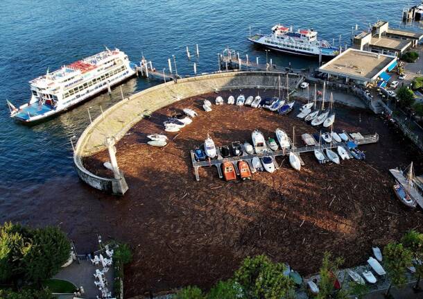 Legna e detriti invadono il porto di Intra – Foto Reporter di Volo