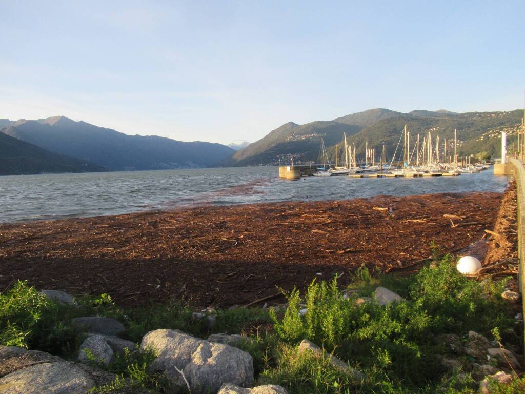 Legna nel lago Maggiore davanti a Luino