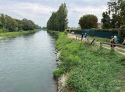 Milano lodi
