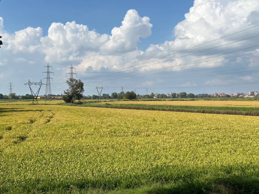 Milano lodi
