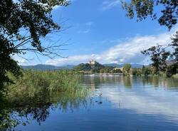 oasi bruschera ulisse piana