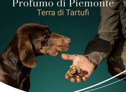 tartufo piemonte
