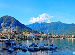 Feriolo -reporter di volo