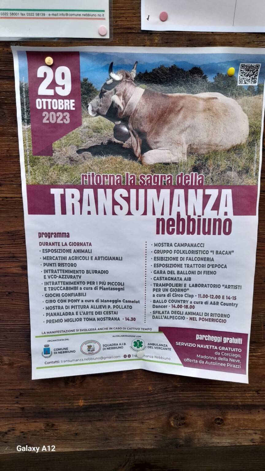 La Sagra della transumanza di Nebbiuno 