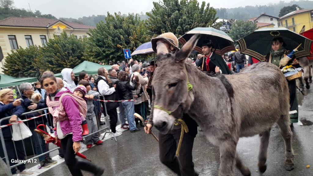 La Sagra della transumanza di Nebbiuno 