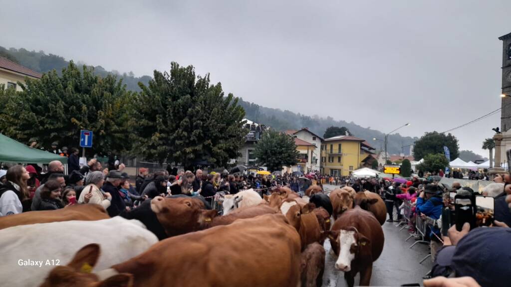 La Sagra della transumanza di Nebbiuno 