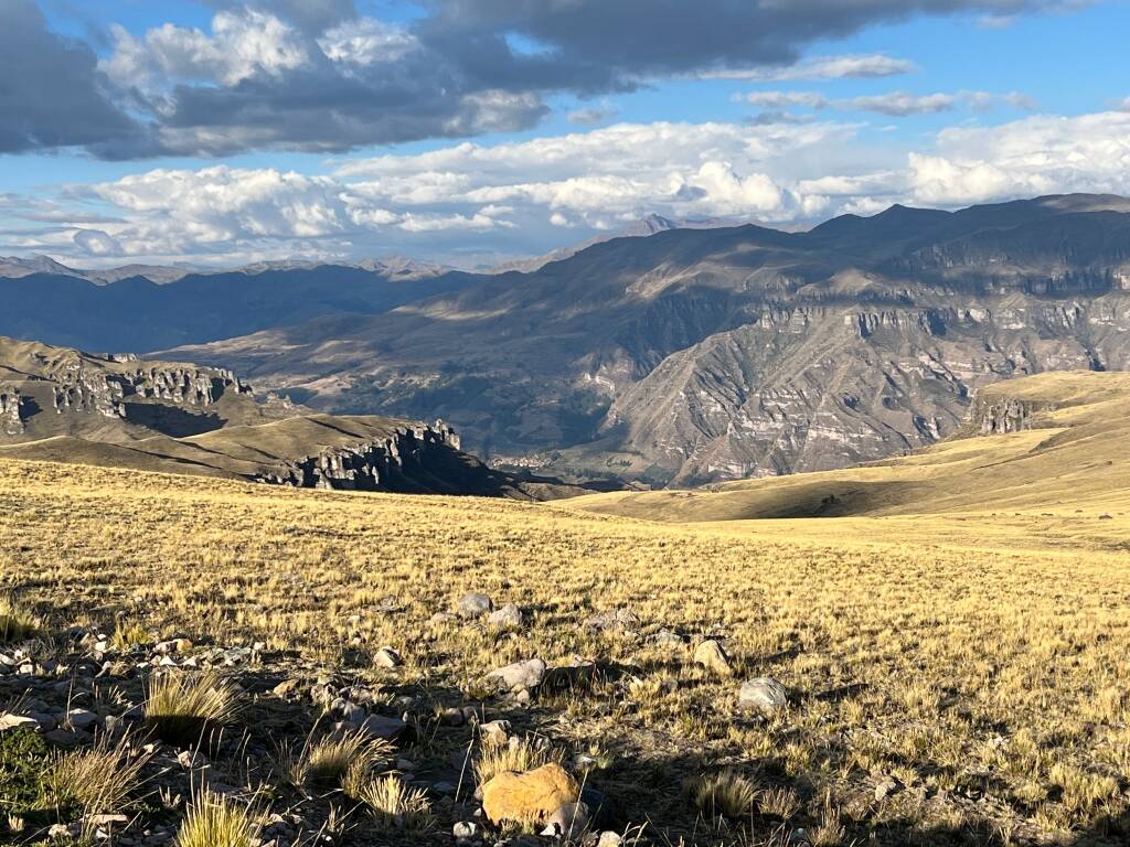 Peru - Omacha 