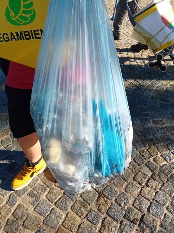 Puliamo il mondo sul lungolago di Laveno