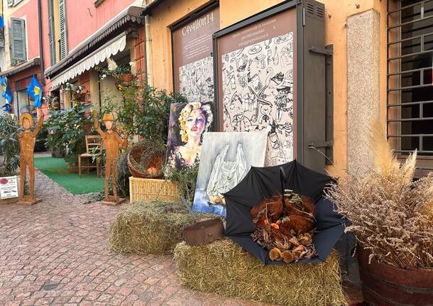Sboccia l'autunno a Luino