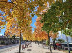 autunno lungolago luino