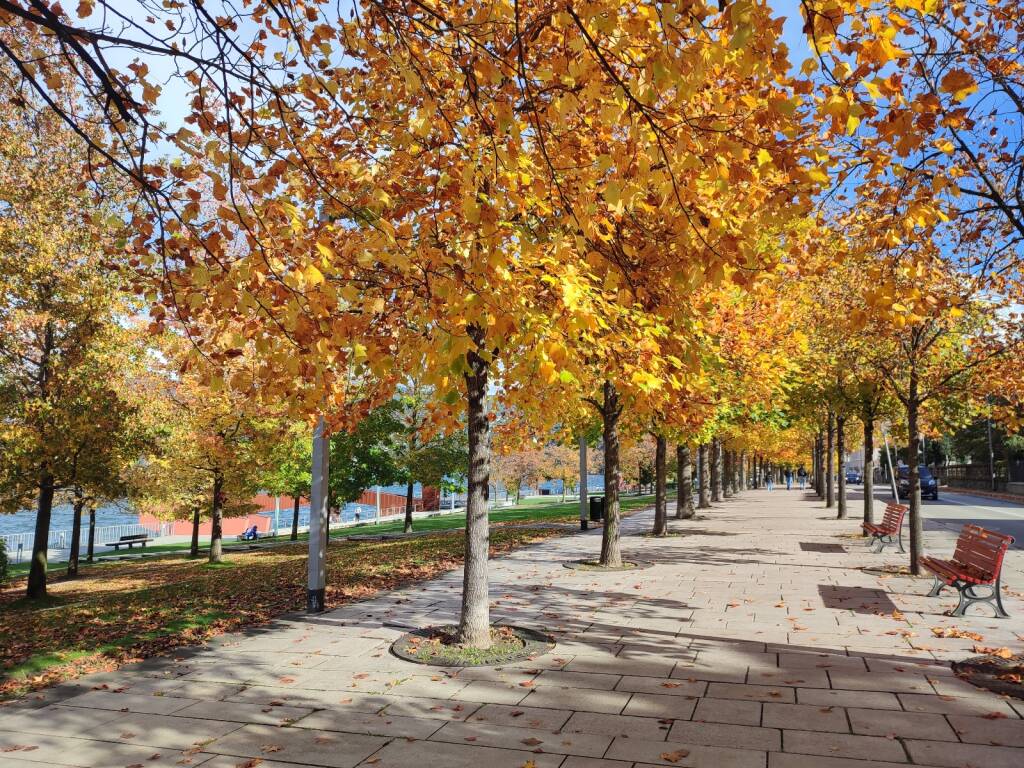 autunno lungolago luino
