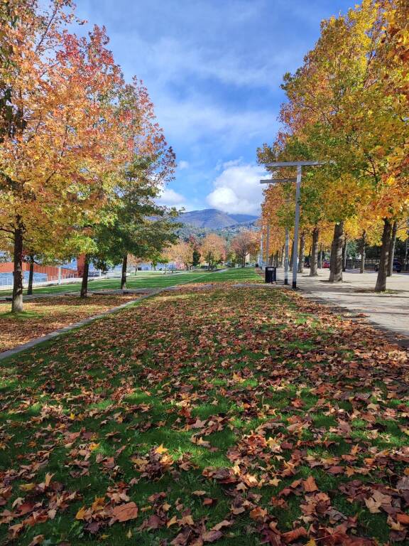 autunno lungolago luino