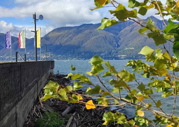 autunno lungolago luino