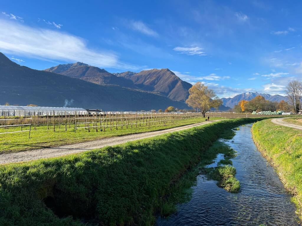 Francisca da Bellinzona a Rivera 