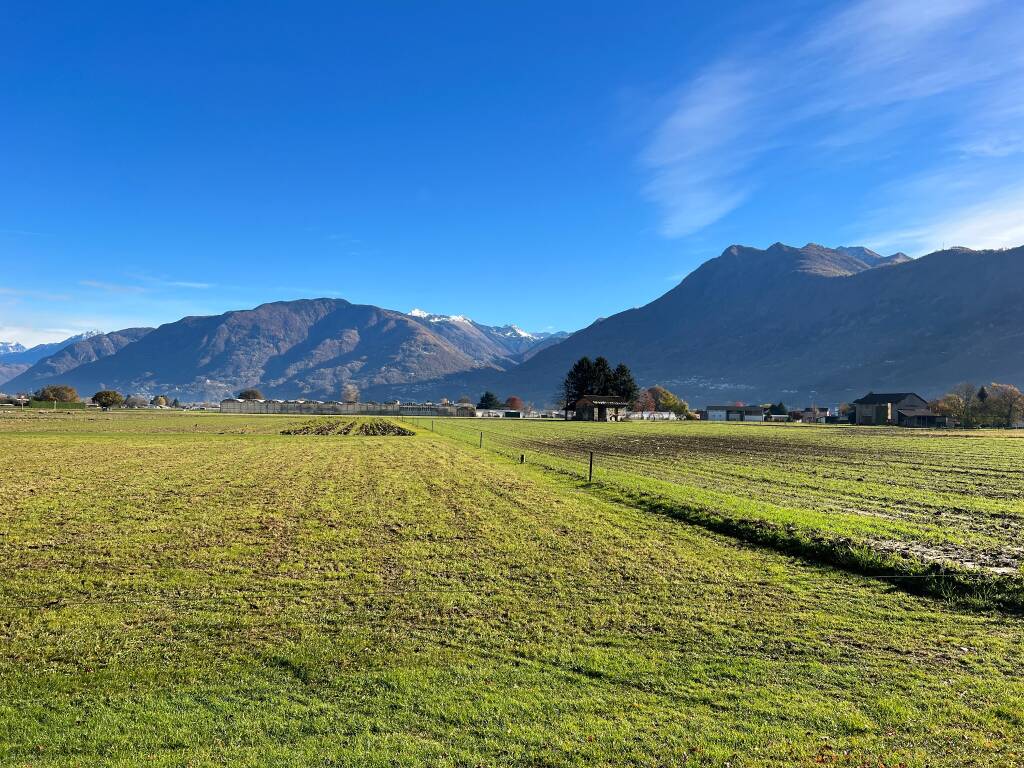 Francisca da Bellinzona a Rivera 