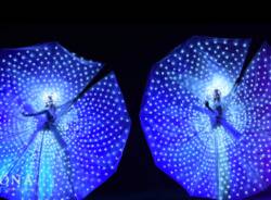 Generico 27 Nov 2023