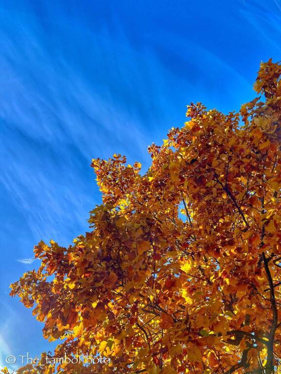 I colori dell'autunno visti dai fotografi di Oggi nel Varesotto