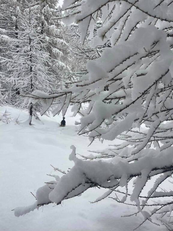 I boschi del Devero coperti di neve - foto di Gloria Ripamonti