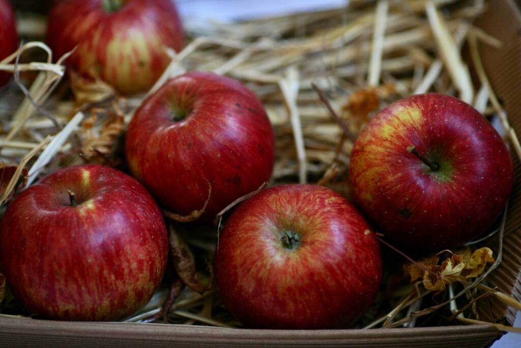 SagraMeleMiele - foto 30esima edizione