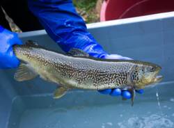 Generico 04 Dec 2023