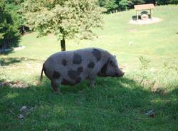 Generico 18 Dec 2023