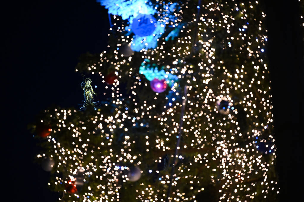 Illuminato l'albero di Natale in piazza Duomo a Milano