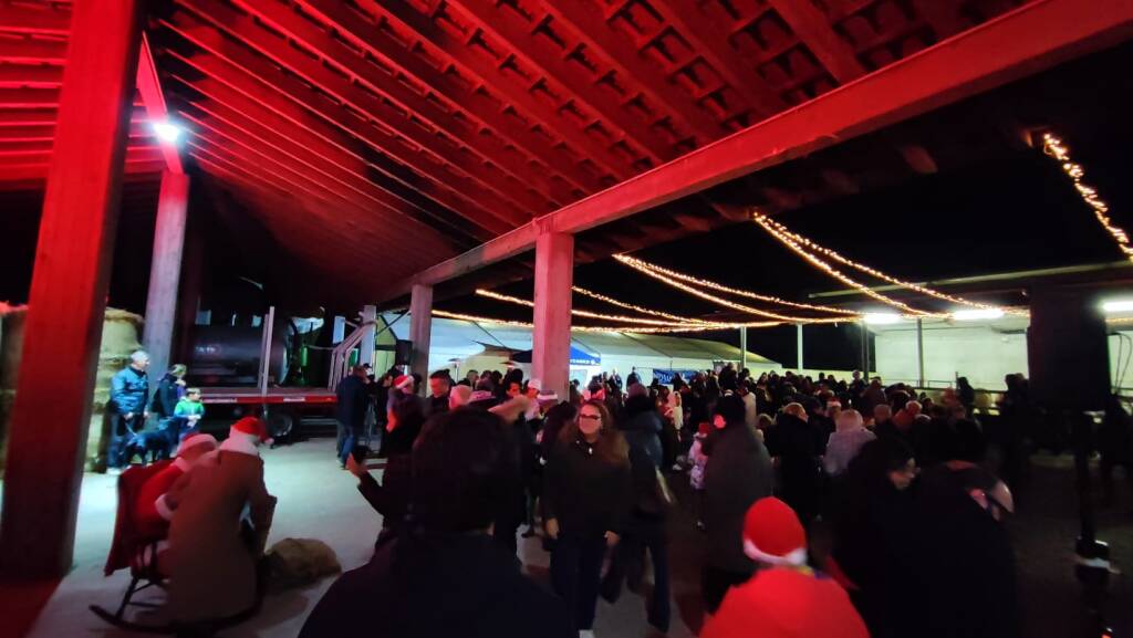 L'albero di trattori alla Fattoria Robustelli di Ranco 