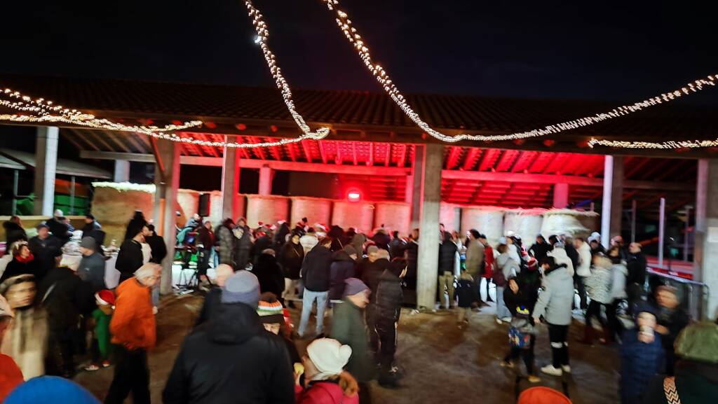 L'albero di trattori alla Fattoria Robustelli di Ranco 