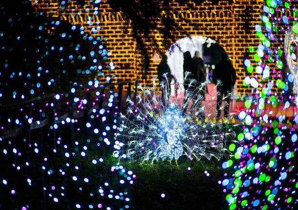 lucine di leggiuno 2023