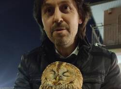 Generico 29 Jan 2024