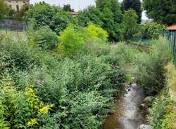 Generico 19 Feb 2024