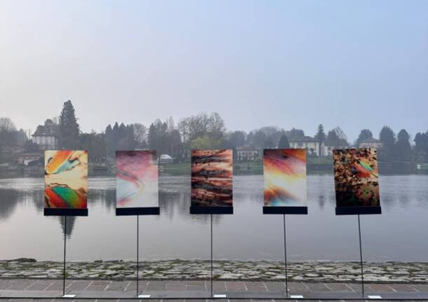 Alessandro Puccia la mostra di Sesto Calende