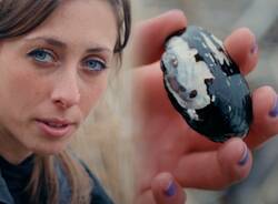 Andrea Valentina Gussoni