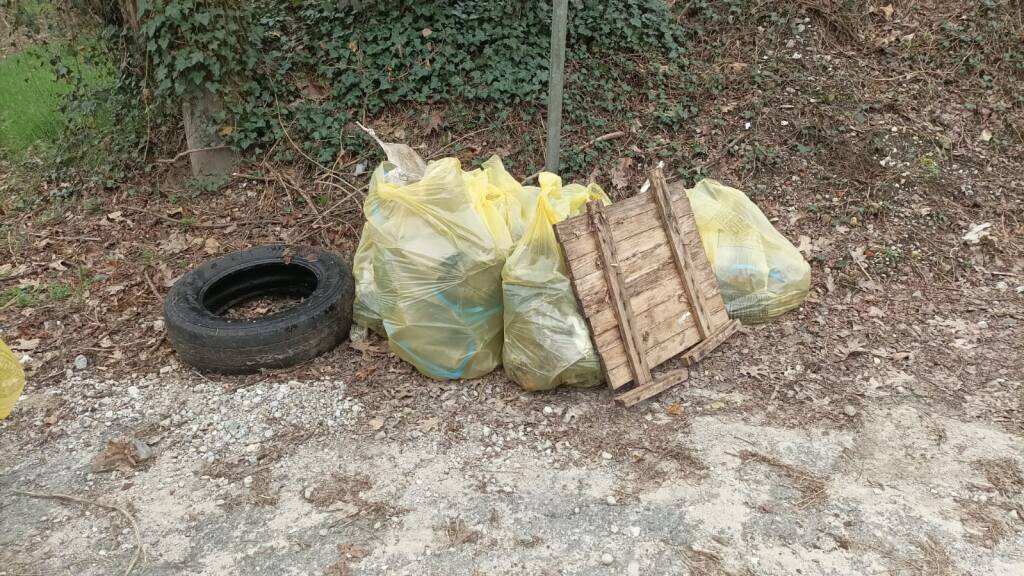 Giornata ecologica Biandronno