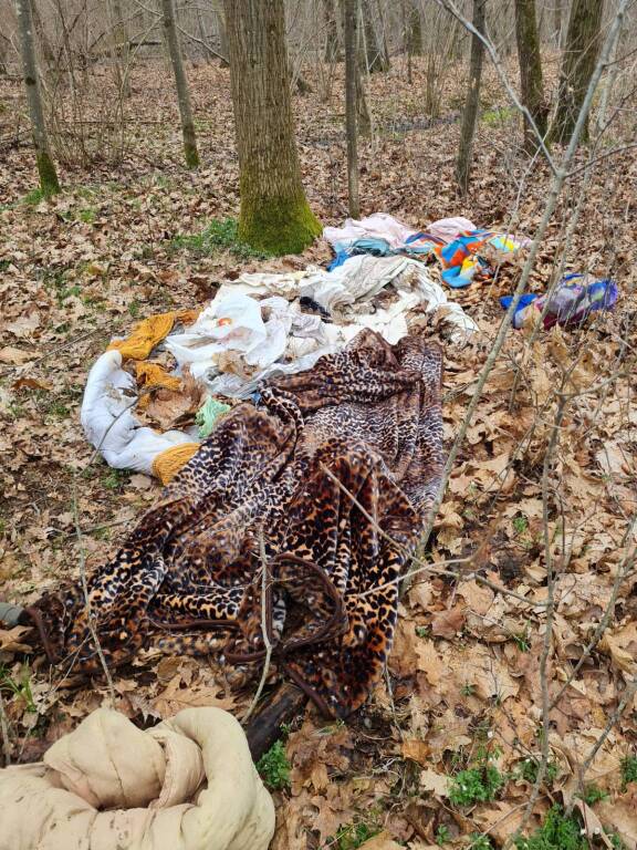 Giornata ecologica Biandronno