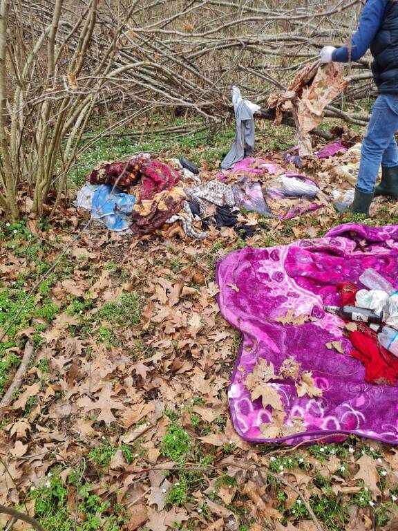 Giornata ecologica Biandronno