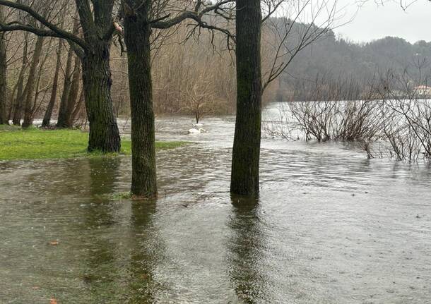 Il Ticino sonda a Golasecca