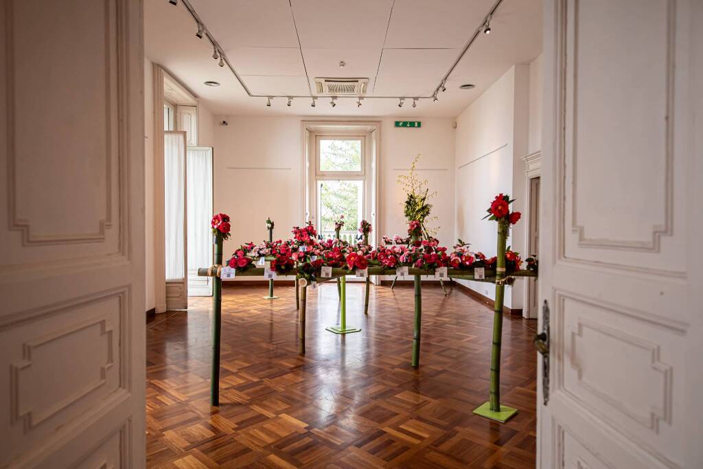 Mostra camelia Verbania