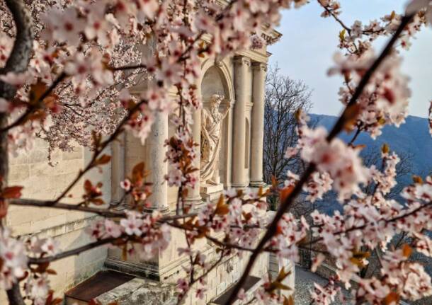 Primavera al Sacro Monte di Varese