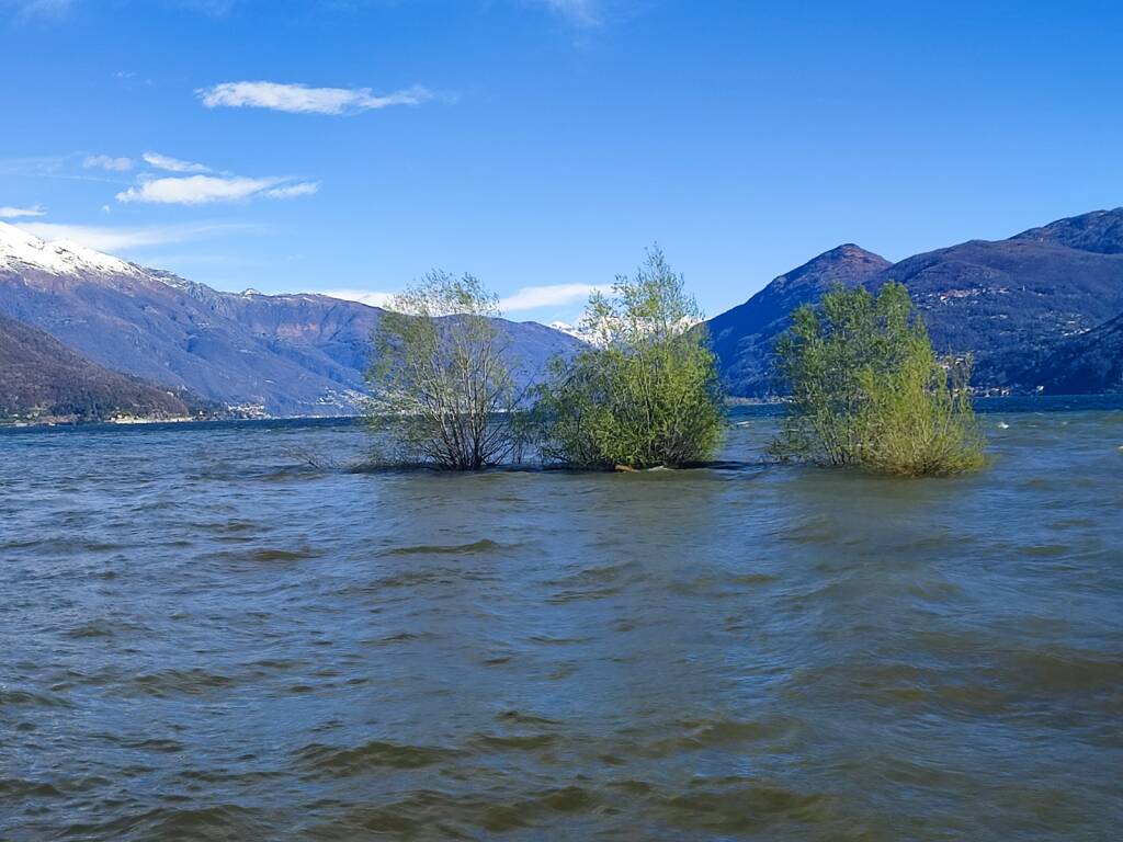 La foce del Tresa dopo i temporali