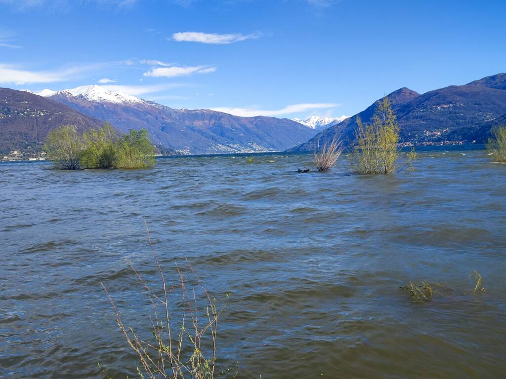 La foce del Tresa dopo i temporali