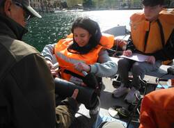 comitato bandiera blu lago maggiore liceo sereni laveno mombello
