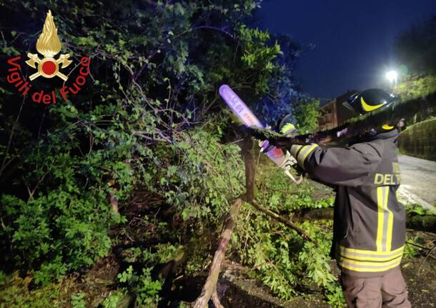 Generico 08 Apr 2024