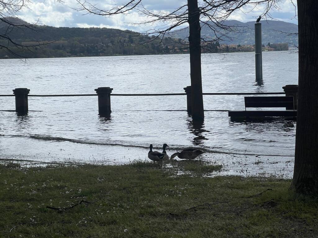 Ispra - Lago Maggiore 1° aprile 2024